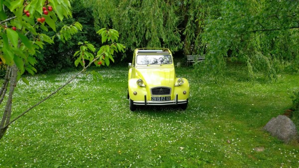 WhatsApp Image 2022-06-28 at 15.42.21.jpeg (499.21 Kio) Vu 1267 fois Arrivé chez Volker ans Tina