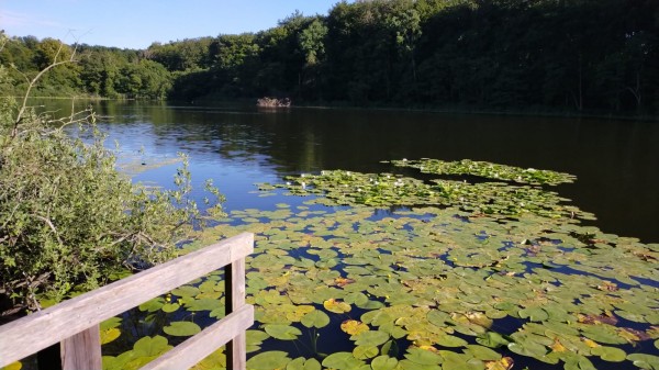 WhatsApp Image 2022-06-29 at 18.29.32.jpeg (287.21 Kio) Vu 1082 fois ballade en direction des falaises