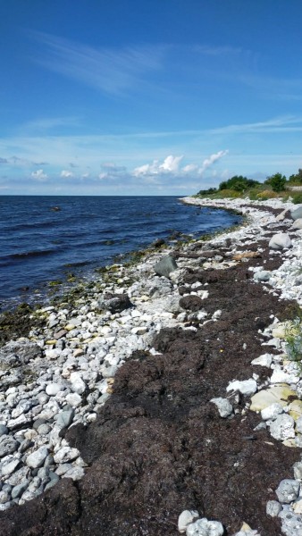 La Baltic au sud de la Suède