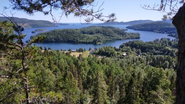 WhatsApp Image 2022-07-12 at 14.56.56.jpeg (387.86 Kio) Vu 743 fois ballade à Röklitten magnifique surplomp de la Baltic