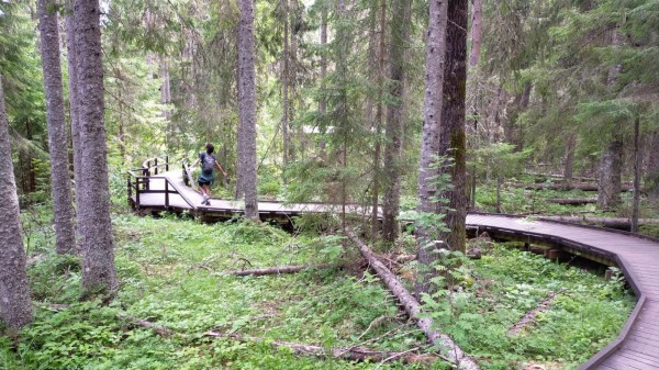 Le début est une partie en forêt ammenant au bord de la mer