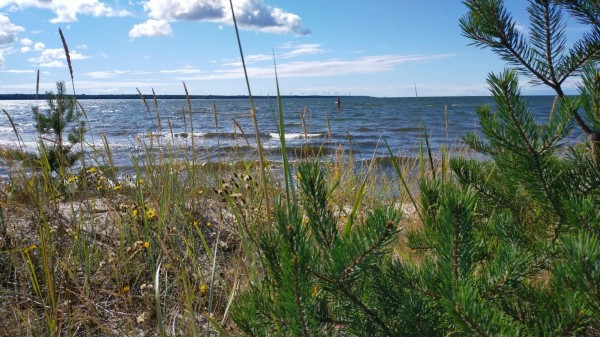 WhatsApp Image 2022-07-29 at 15.07.02.jpeg (368.27 Kio) Vu 827 fois Belle plage