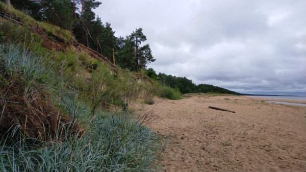 Dunes &quot;blanches&quot; victimes de l'érosion