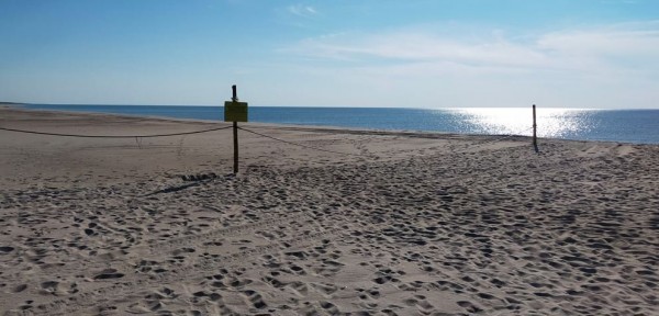 Capture 73.JPG (104.15 Kio) Vu 979 fois Vu les trace de pas, il semble qu'il y ai moins de tourisme coté russe. (ou c'est peut être simplement un no man's land)