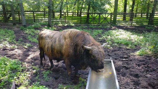 WhatsApp Image 2022-08-08 at 10.06.00.jpeg (470.73 Kio) Vu 912 fois Il avait soif!