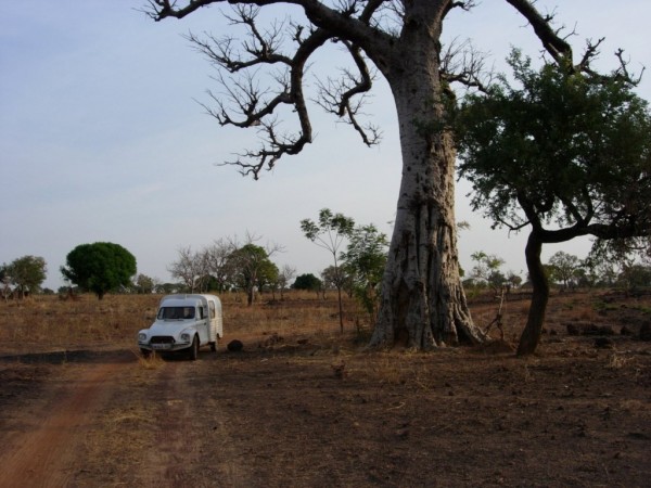 dscn3410.jpg (182 Kio) Vu 2008 fois Photo de l'Acadiane en 2012