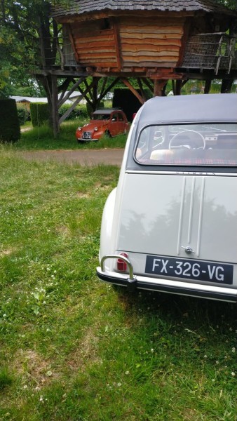 WhatsApp Image 2023-06-09 à 16.48.57.jpg (213.98 Kio) Vu 5504 fois Arrivé au camping, accueilli par une rouge pavot !