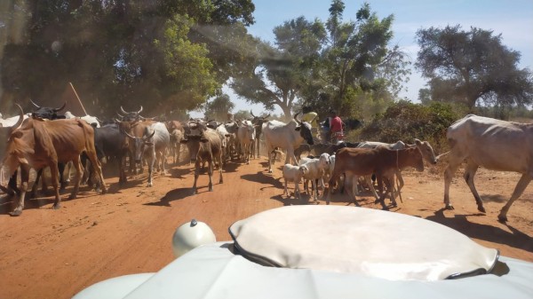 WhatsApp Image 2023-12-04 à 11.43.57_d457635d.jpg (213.14 Kio) Vu 3736 fois Petite piste sur les 14 derniers km