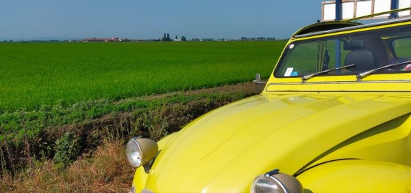 Vastes rizières dans la plain du Pô entre Turin et Milan