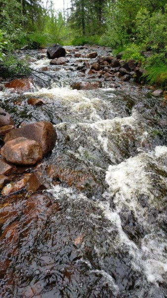 WhatsApp Image 2024-07-25 à 10.03.47_d052edfd.jpg (286.68 Kio) Vu 1244 fois photo en chemin