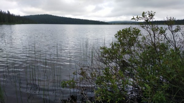 Arrivé au lac, je n'ai pas résisté à une petite baignade.