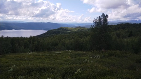 Petite rando pour avoir la vue sur le lac mais aussi sue la droite la neige à la frontière Norvégienne