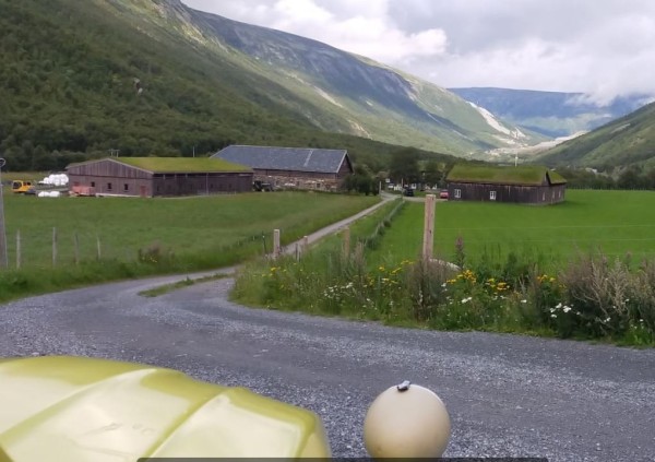 epuis que je suis en Norvège, j'ai vu beaucoup de maisons avec leurs toits végétalisées