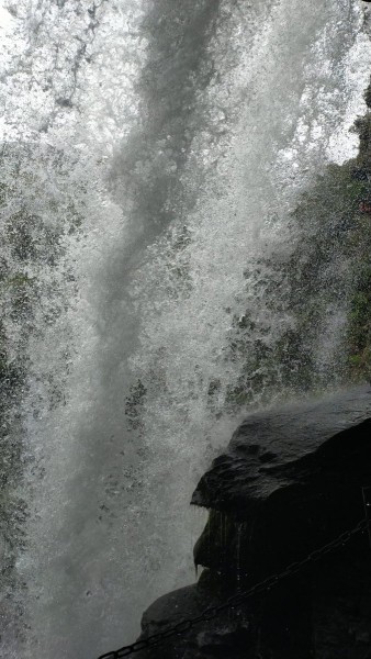 WhatsApp Image 2024-07-29 à 12.19.45_6b94c568.jpg (236.15 Kio) Vu 1341 fois vu de derrière