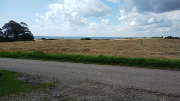 WhatsApp Image 2024-08-10 à 13.57.28_837a3d36.jpg (262.82 Kio) Vu 1618 fois La maison n'est pas loin de la mer