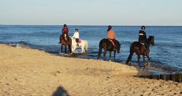 Dernière photo, ce matin,  de la Baltic, avant de rentrer dans les terres en direction de Torun