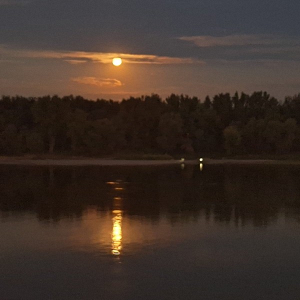 le soir, parade au centre ville de Torun: