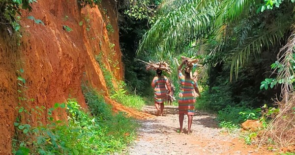 Capture 083.JPG (236.65 Kio) Vu 2418 fois Sur le chemin du retour