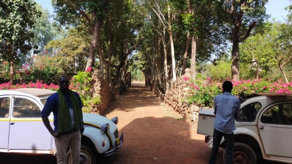 Capture 045.JPG (224.67 Kio) Vu 1500 fois belle allée menant au château