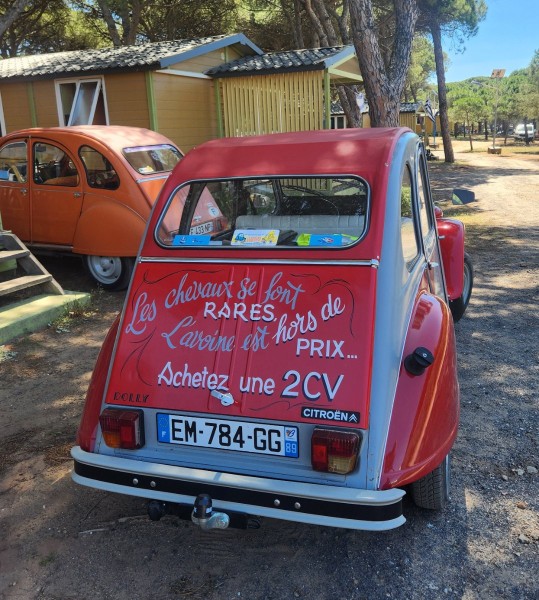 Beau cul n'est-ce pas ?