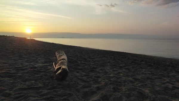 WhatsApp Image 2025-06-03 à 07.04.56_5b77351b.jpg