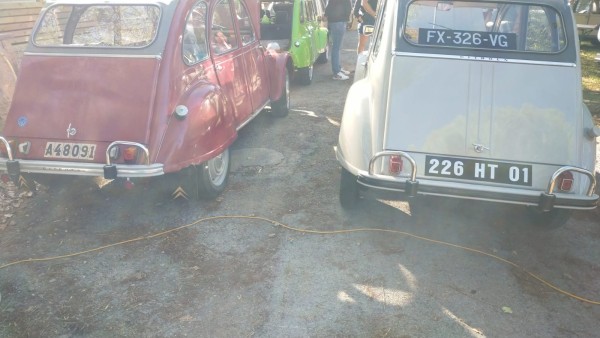 Rencontre de sa sœur Suédoise née un an plutôt en Belgique