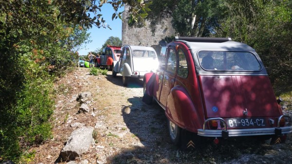 WhatsApp Image 2025-09-06 à 13.54.25_a052935c.jpg