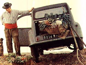 2cv_2.jpg