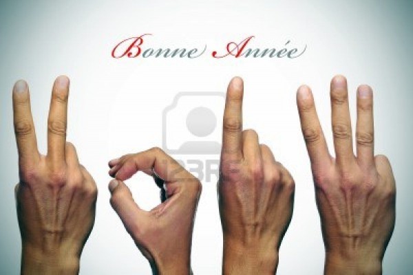 bonne-annee-2013-original-600x400.jpg